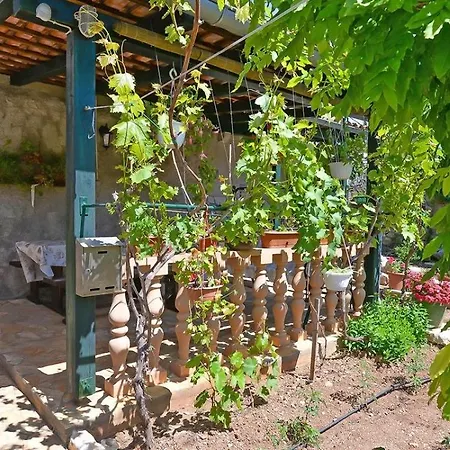 Apartman Cvita A2+1 *